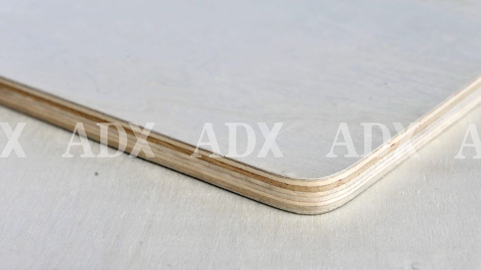 Trang chủ ADX Plywood Ván ép bạch dương là gì? Phân loại và công dụng