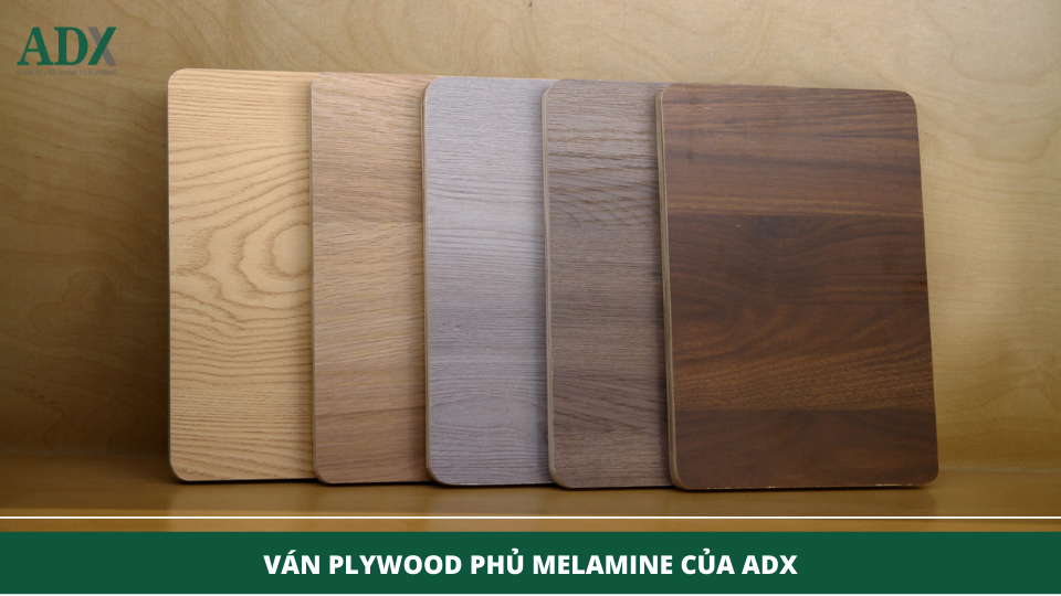 Ván Plywood phủ Melamine của ADX Plywood