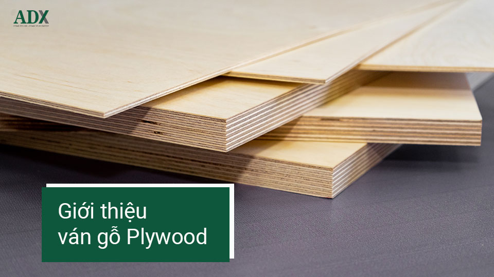 Giới thiệu về ván gỗ Plywood
