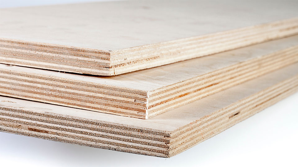 Các loại ván gỗ Plywood được sử dụng nhiều nhất trên thị trường