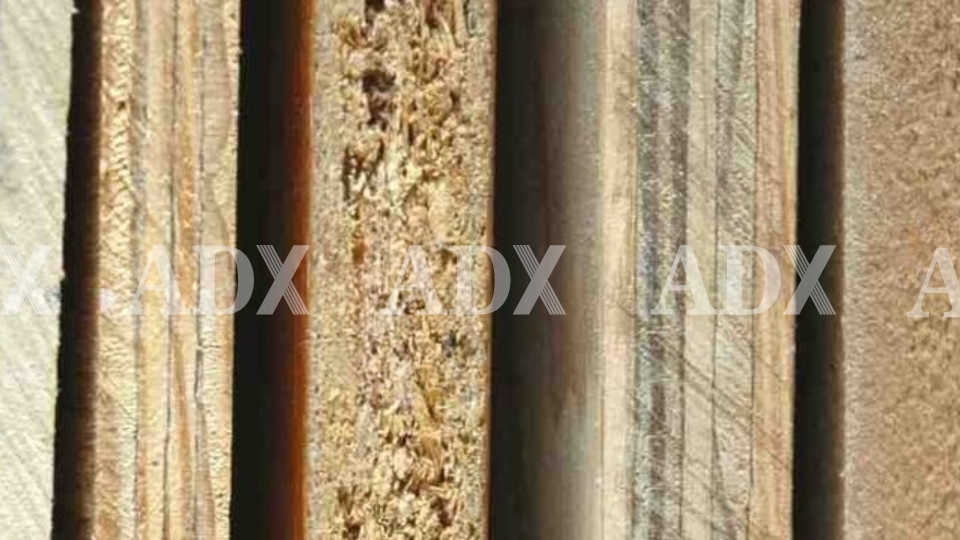 So sánh các loại ván ép công nghiệp phổ biến hiện nay