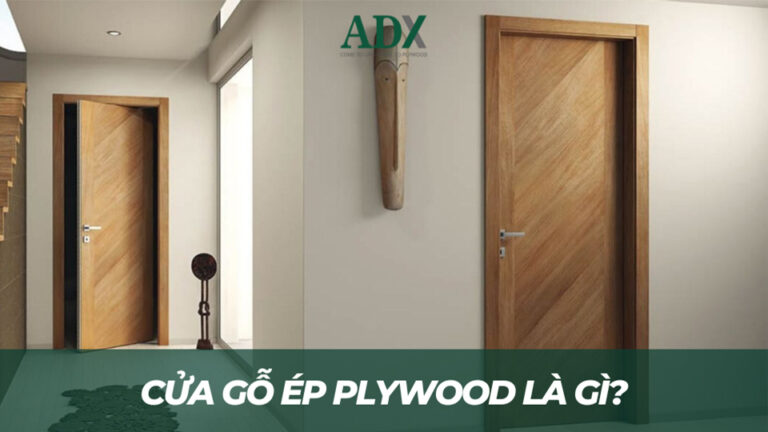 Cửa Gỗ ép Plywood - Giải Pháp Hoàn Hảo Cho Mọi Không Gian Hiện Đại