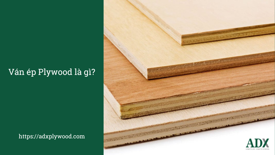 Tìm hiểu về plywood lvl, lvb và lvd