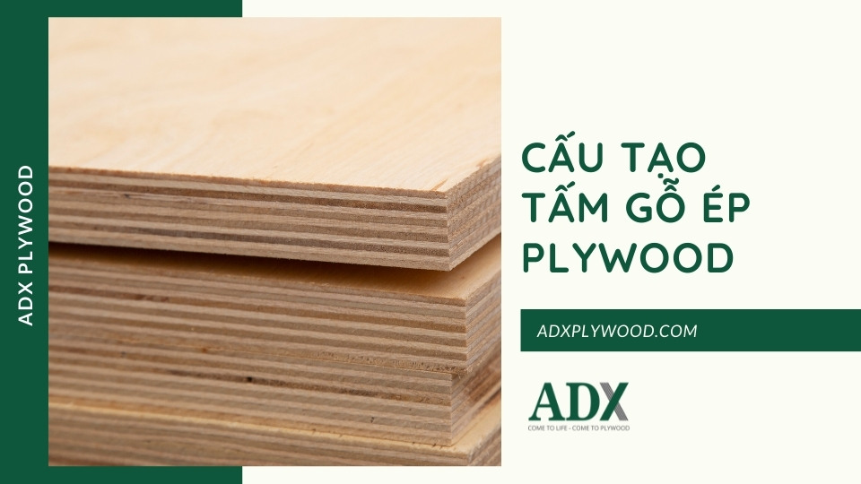 Cấu tạo tấm gỗ ép Plywood