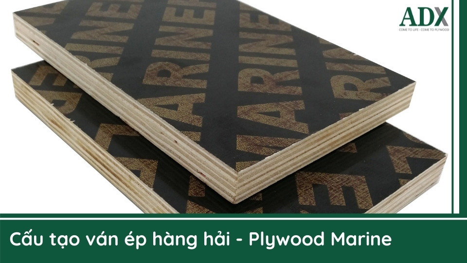 Plywood marine
