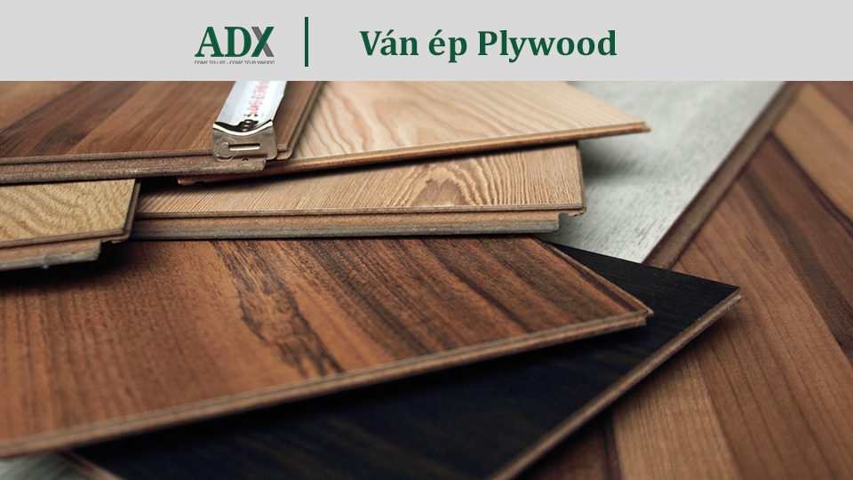 Ván ép Plywood - Chất lượng từ những tấm ván mỏng