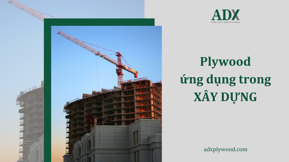 Ứng dụng plywood trong xây dựng
