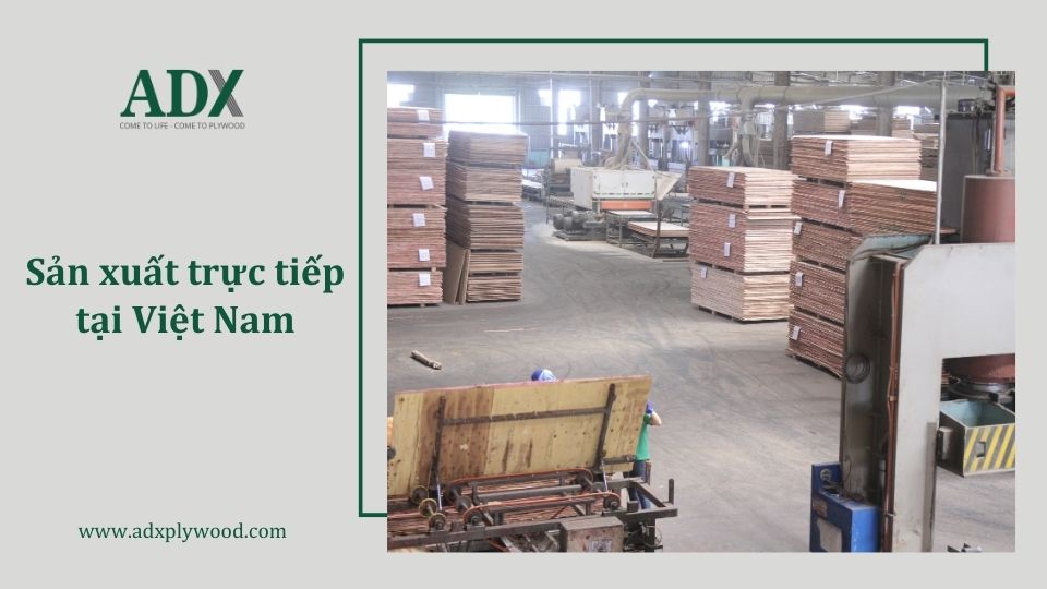 Nhà máy sản xuất ván plywood của ADX