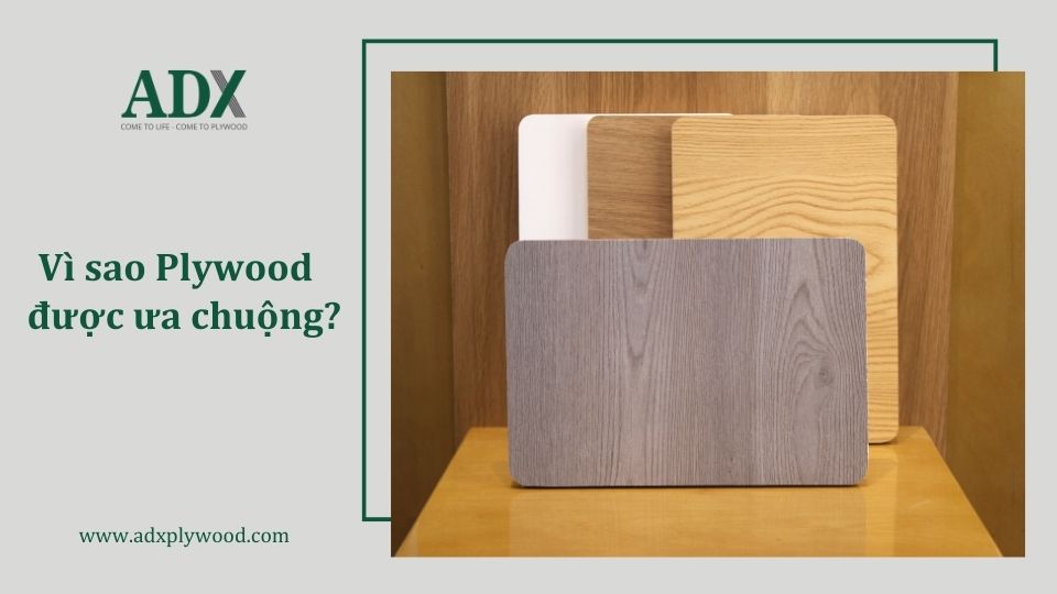 Vì sao Plywood có giá cao nhưng vẫn được ưa chuộng?