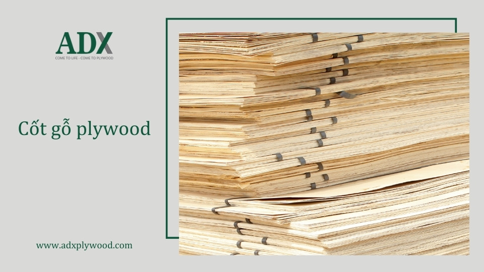 Cốt gỗ plywood