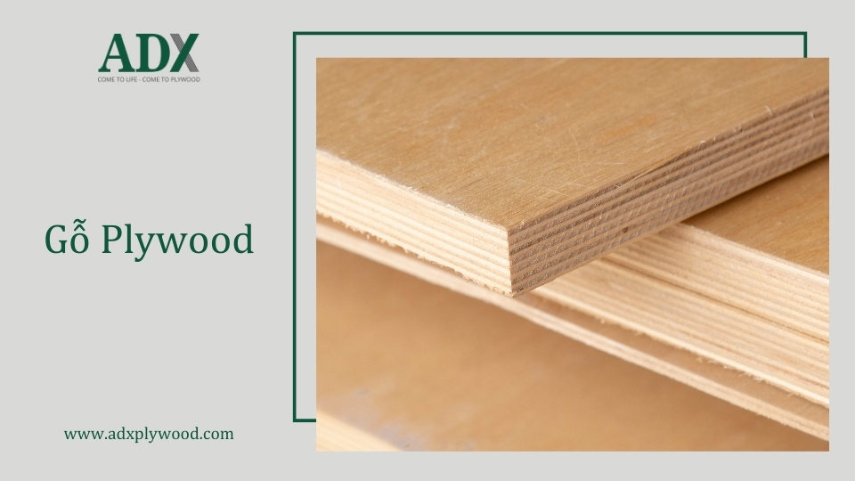 Ván gỗ ép Plywood là gì?