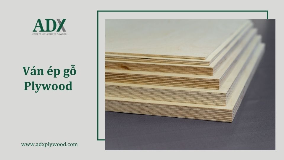 Ván ép gỗ Plywood là gì?