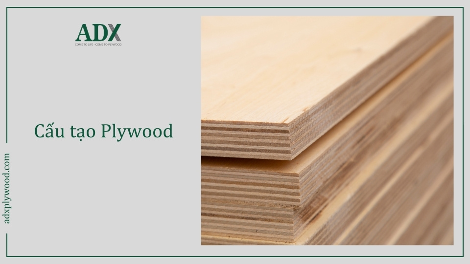 Kích thước tiêu chuẩn gỗ plywood