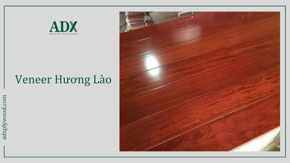 Sàn veneer gỗ Hương Lào