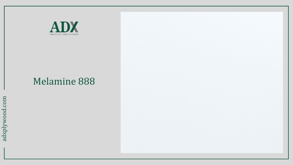 Melamine màu trắng mã 888 - ADX Plywood