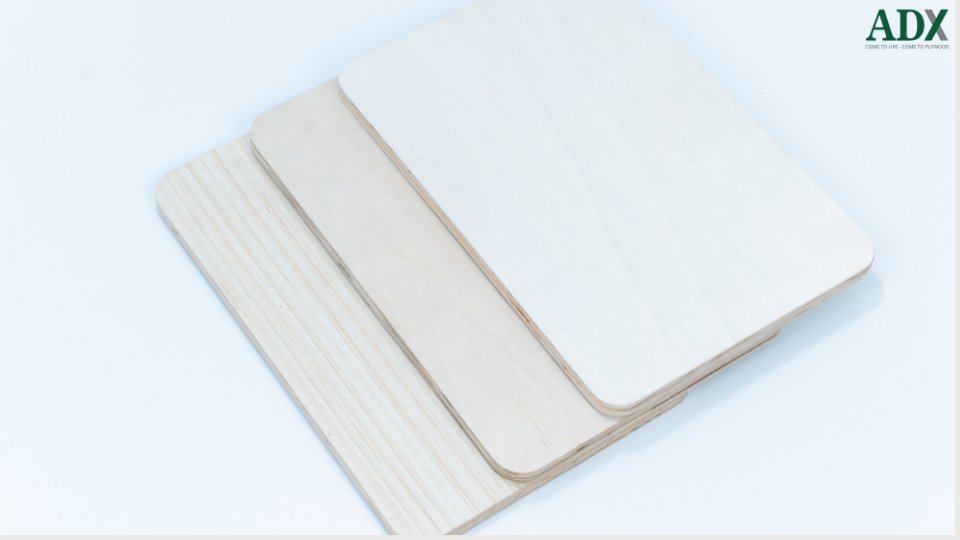 Veneer plywood - Engineered wood with natural beauty