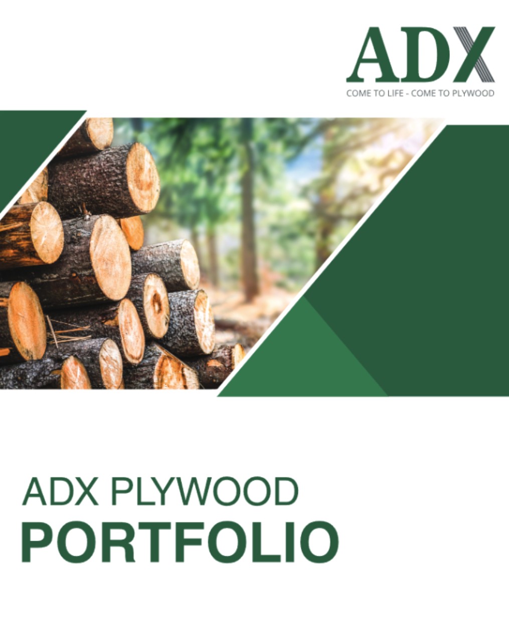 Portfolio ADX Plywood