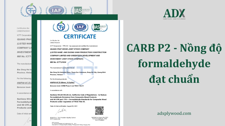 Carb P2 - nồng độ Formaldehyde đạt chuẩn