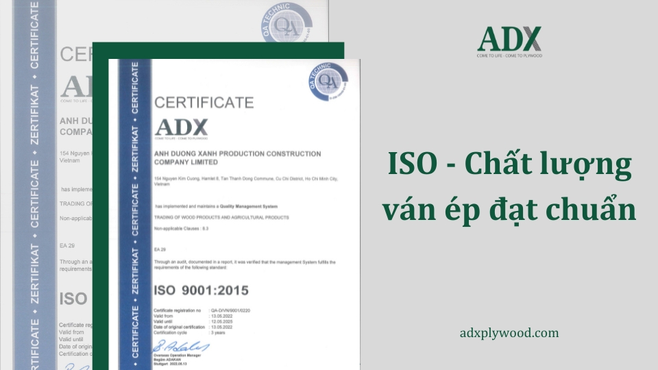 ISO - Chất lượng ván ép đạt chuẩn