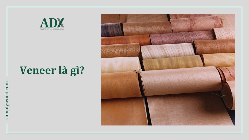 Veneer gỗ là gì? 