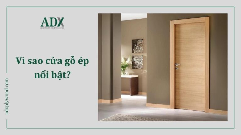 Cửa Gỗ ép Công Nghiệp - đón đầu Xu Hướng Nội Thất
