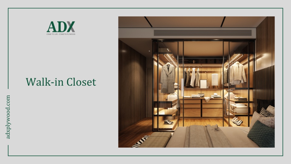 Walk-in-closet: phòng thay đồ thu nhỏ