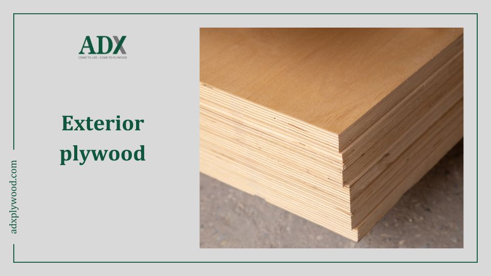 Ván ép ngoại thất - Exterior plywood 