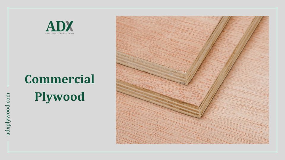 Ván ép thương mại - Commercial Plywood