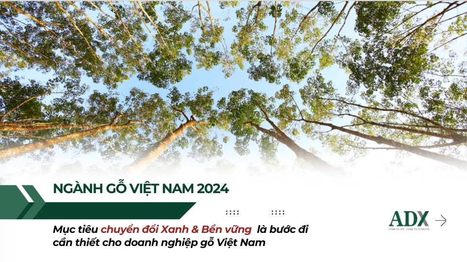 Mục tiêu chuyển đổi xanh và bền vững của ngành gỗ 2024