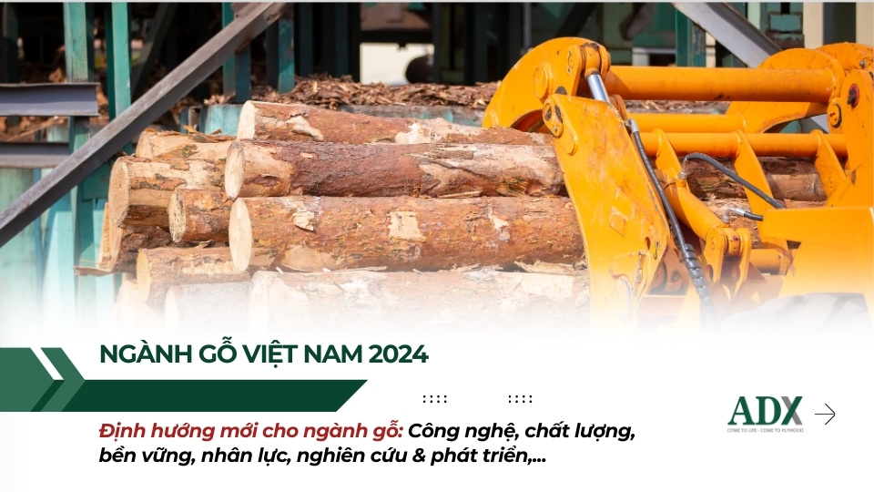 Định hướng ngành gỗ 2025