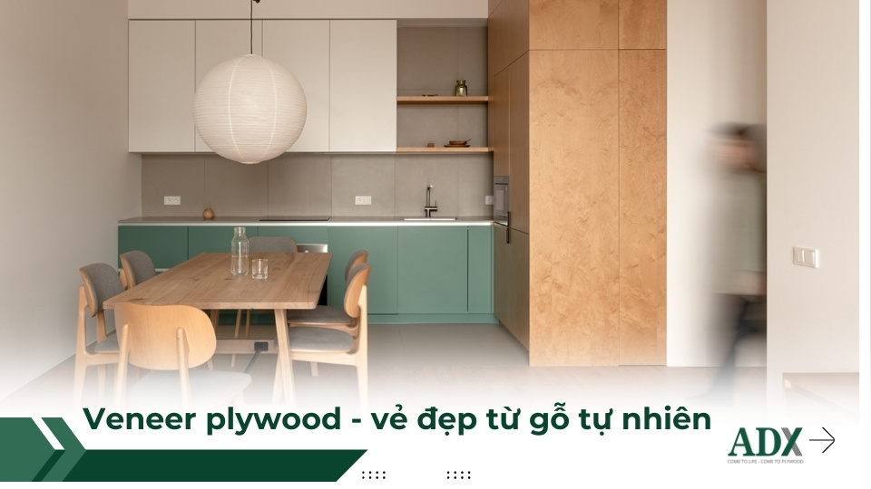 Veneer plywood mang vẻ đẹp tự nhiên cho nội thất