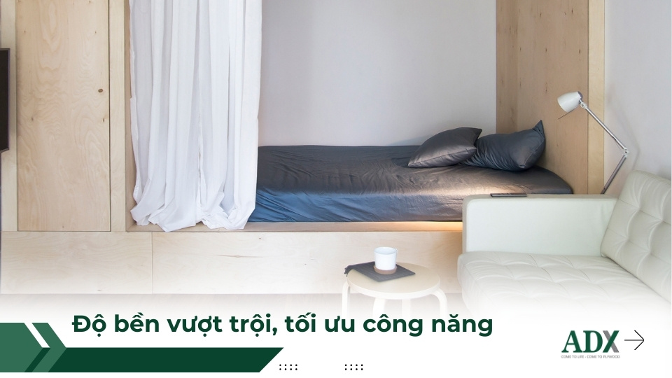 Ván ép plywood sở hữu độ bền vượt trội, tối ưu công năng