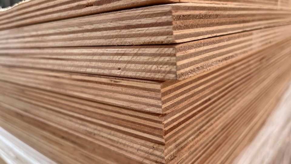 Giá ván ép bạch đàn | Eucalyptus Plywood