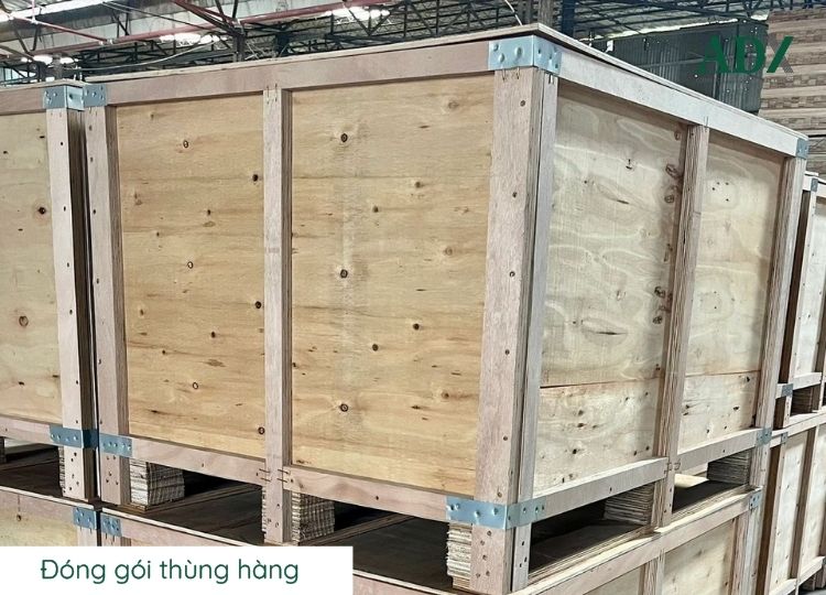 Ứng dụng của cốt plywood trong ngành sản xuất bao bì, lót sàn container, đóng gói