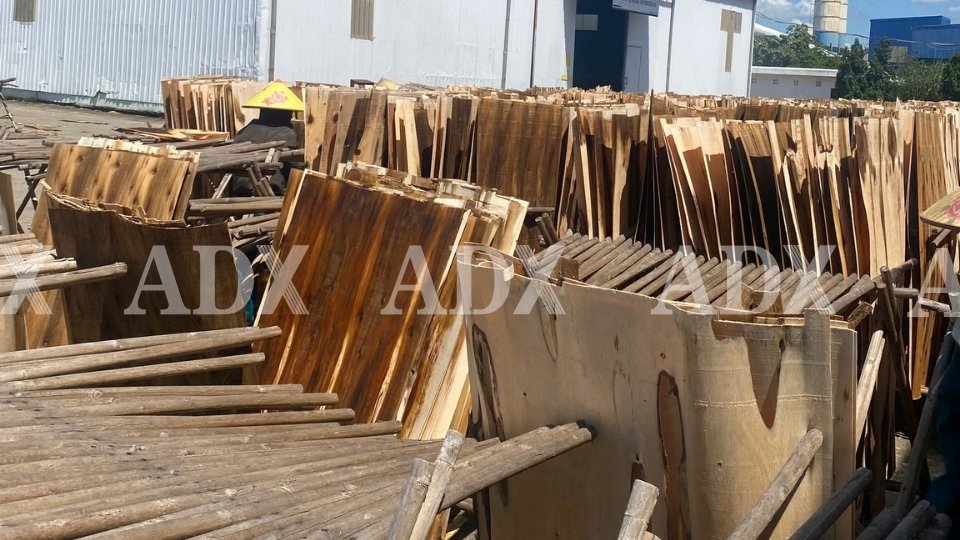 Bảng Giá Ván Bóc Gỗ Keo 2025 Mới Nhất | ADX Plywood