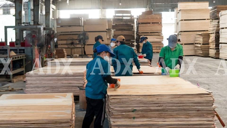 Các chứng chỉ quốc tế cần có để xuất khẩu ván ép gỗ plywood