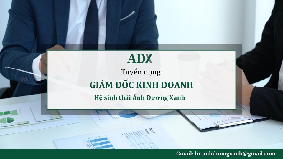 ADX tuyển dụng giám đốc kinh doanh