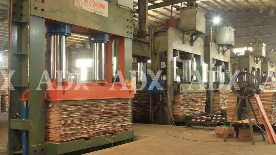 Công nghệ ép nóng trong sản xuất ván ép plywood